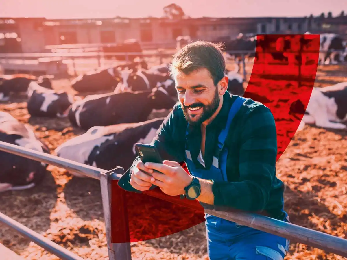 leasing-macchine-da-lavoro-parma